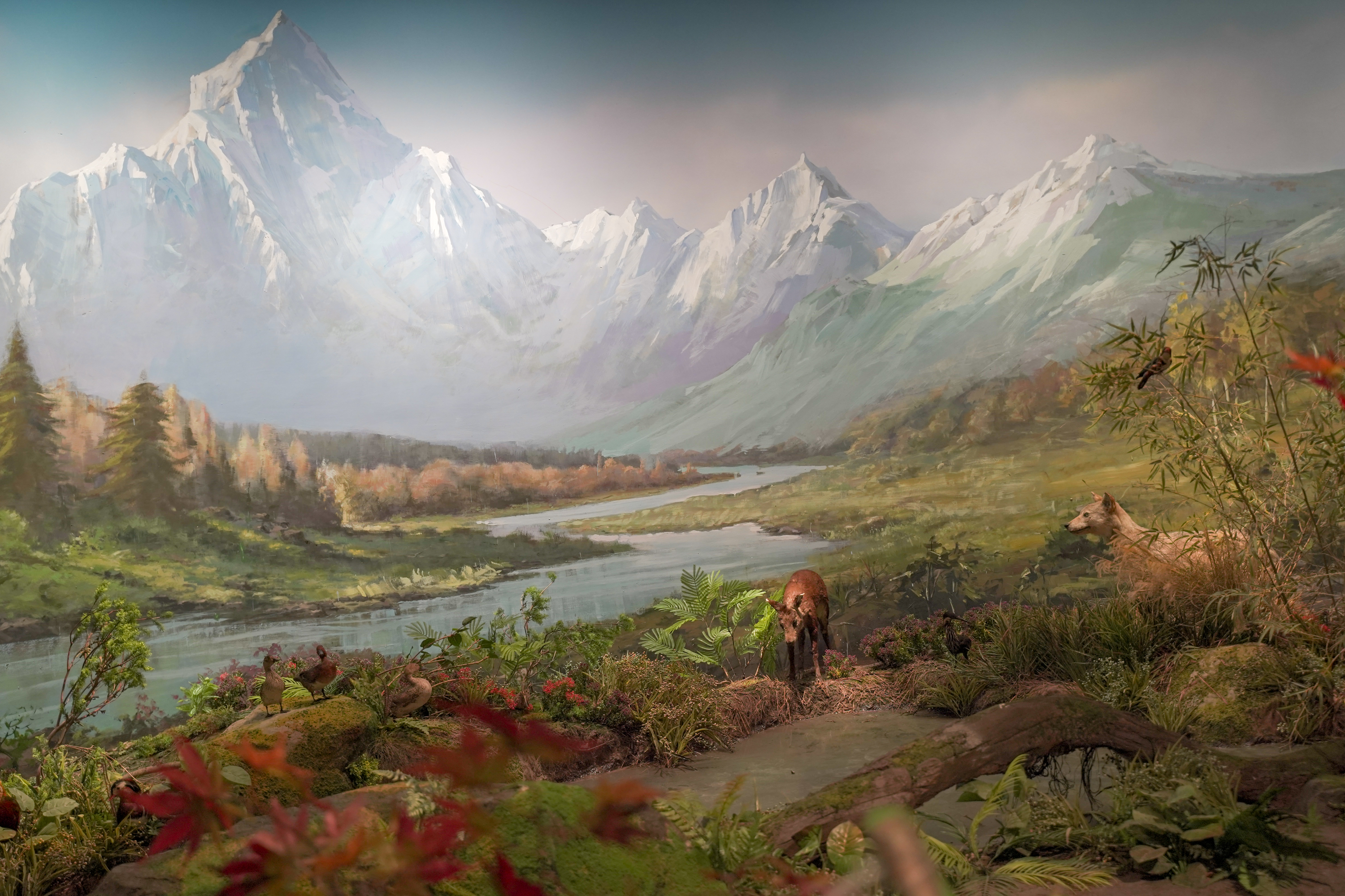 成华区大熊猫基地现在还可以去吗,成华区除了大熊猫还有什么好玩的