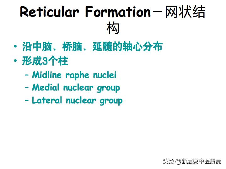 中枢神经系统断层解剖讲解,中枢神经3d解剖动画