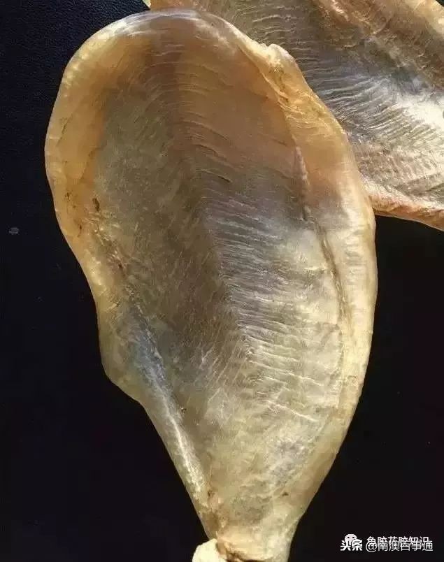 涨知识系列详解,涨知识简短