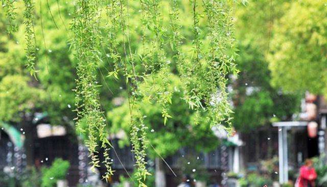 高考实用类文本阅读方法与例题,高考论述类文本阅读知识点总结