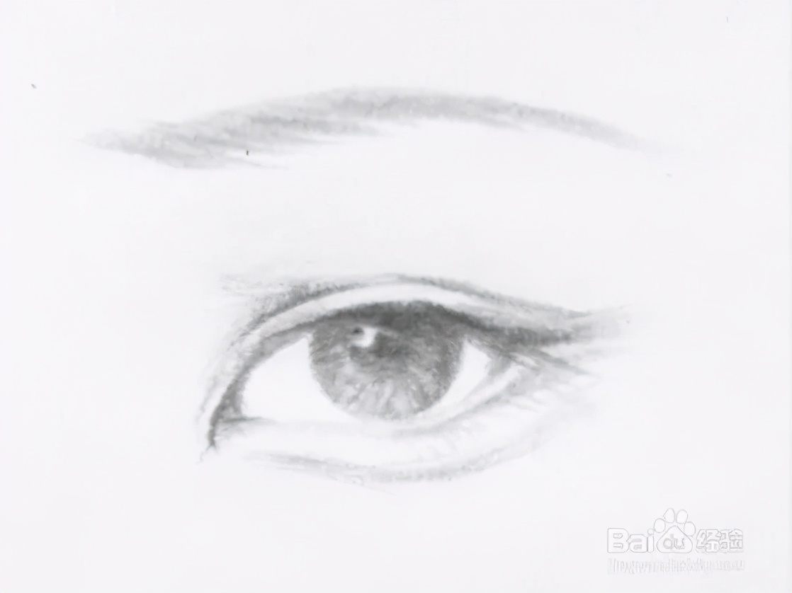 眼型对应的眉形,怎么根据自己的眼型判断眉型