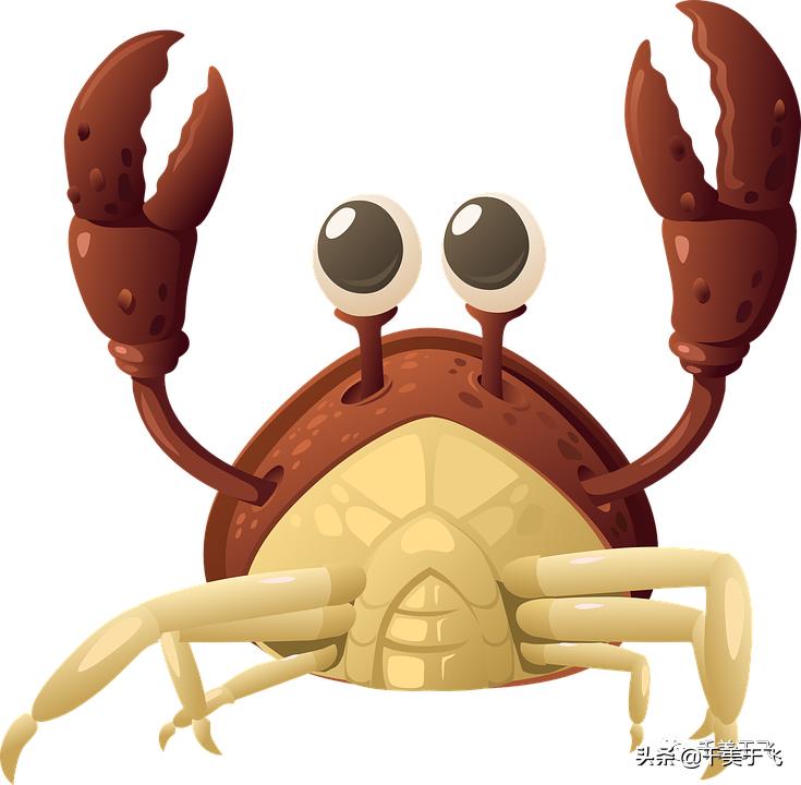 大闸蟹正确打开方式,原来这才是大闸蟹的正确吃法