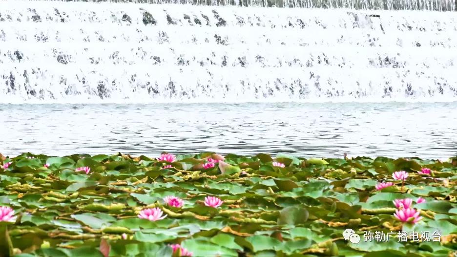 弥勒市为何发展这么快,弥勒怎么了