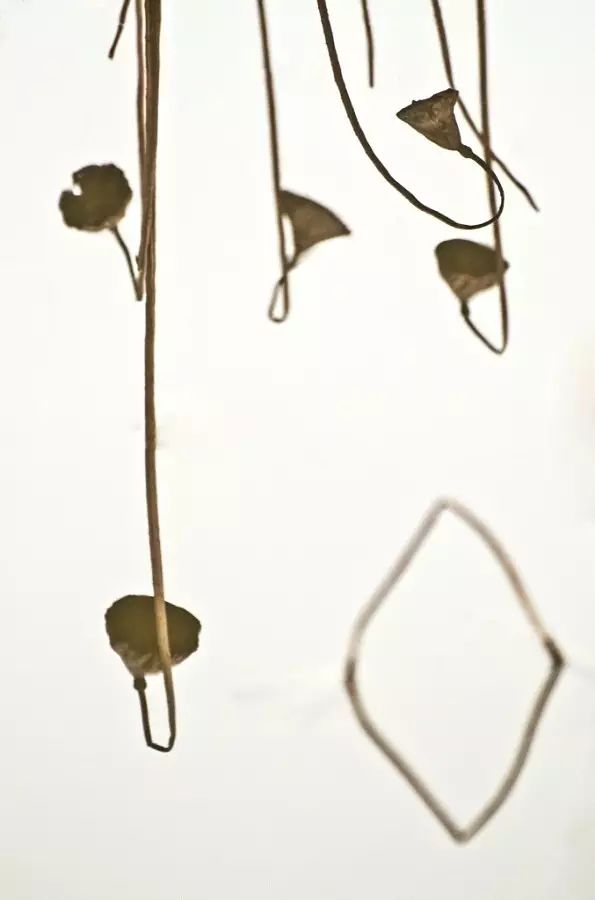 秋天正好拍水墨中国风，你试试这些题材