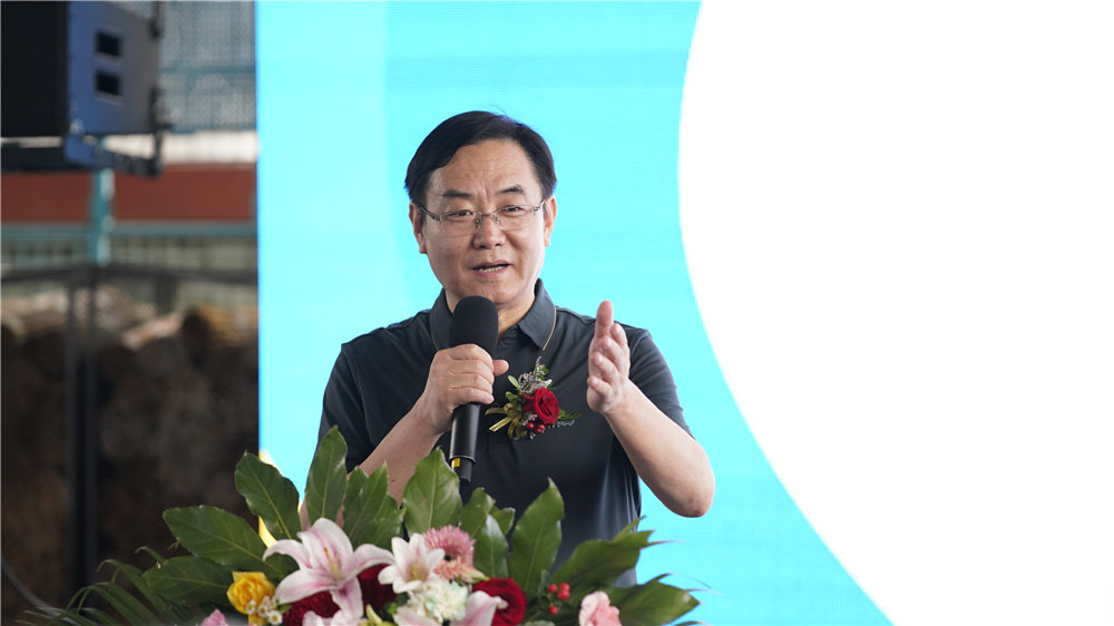 石家庄艺术生高考文化课培训机构,高考艺术特长类培训机构石家庄