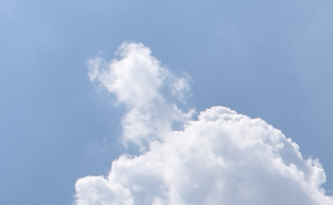 成语舞文弄墨,书法类成语