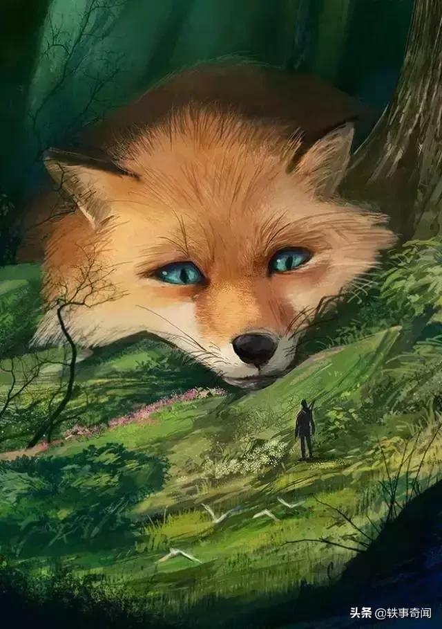 六种有灵性的动物不可杀,六大灵性的动物是什么