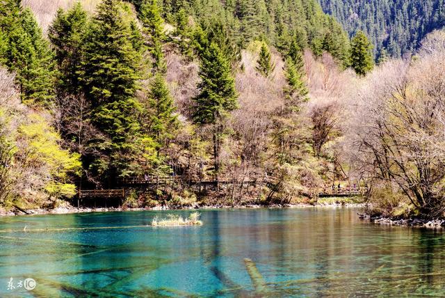 小说:他们接受检查却误以为是黑魔法,一场大战即将到来