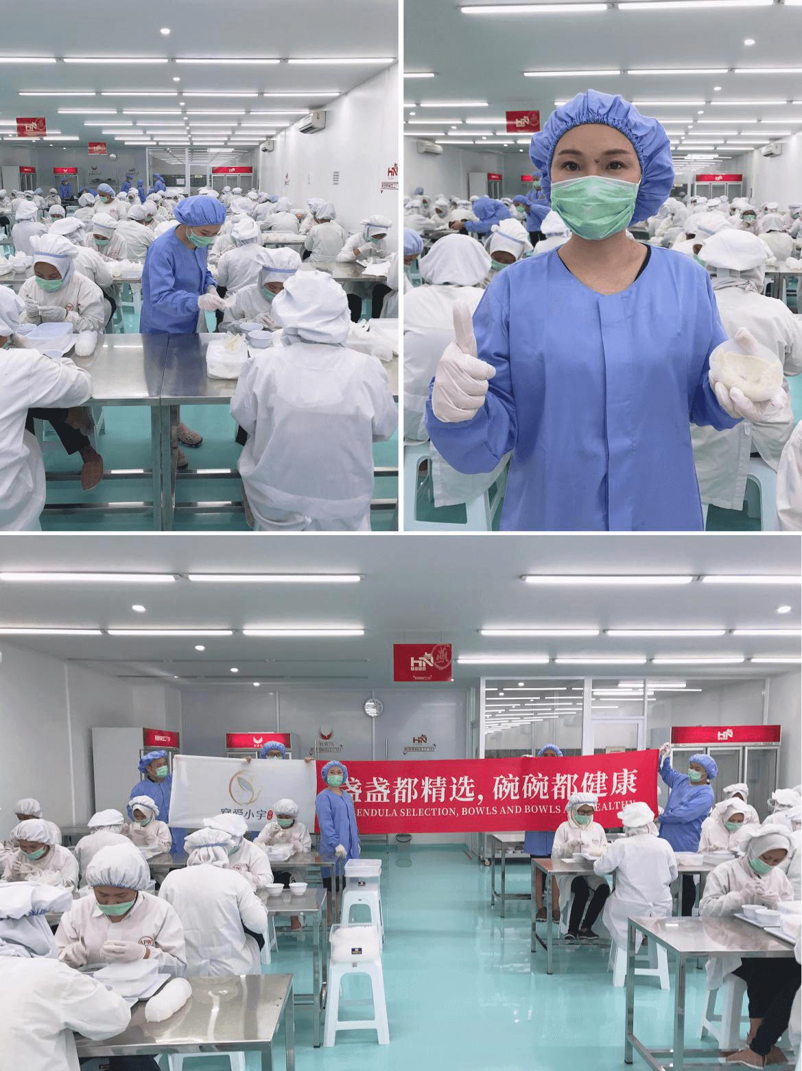 印尼产的燕窝是真的吗 (燕窝最好的产地为什么是印尼)