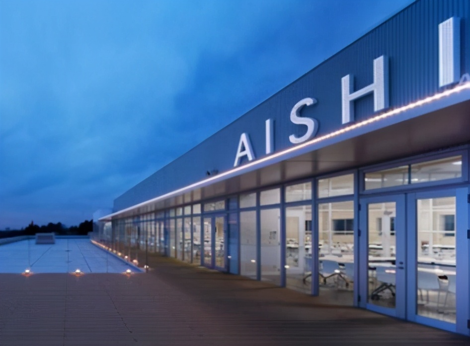 益阳电容器巨头,益阳电容器大王