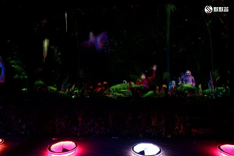 全世界有哪三所夜间动物园,全国第一夜间野生动物园