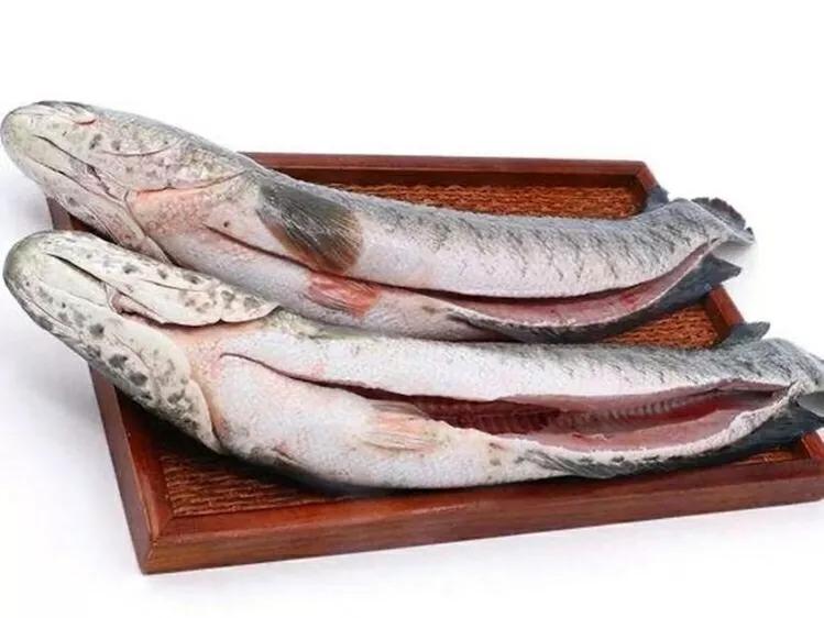 怀孕以后这6种鱼孕妈少吃为好,孕妇禁忌四种鱼