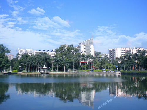 华南地区最好的20所大学,可分为5档,适合不同分数考生报考