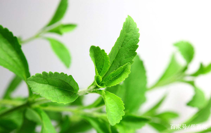 安徽老明光酒多少钱一箱,安徽老明光酒如何