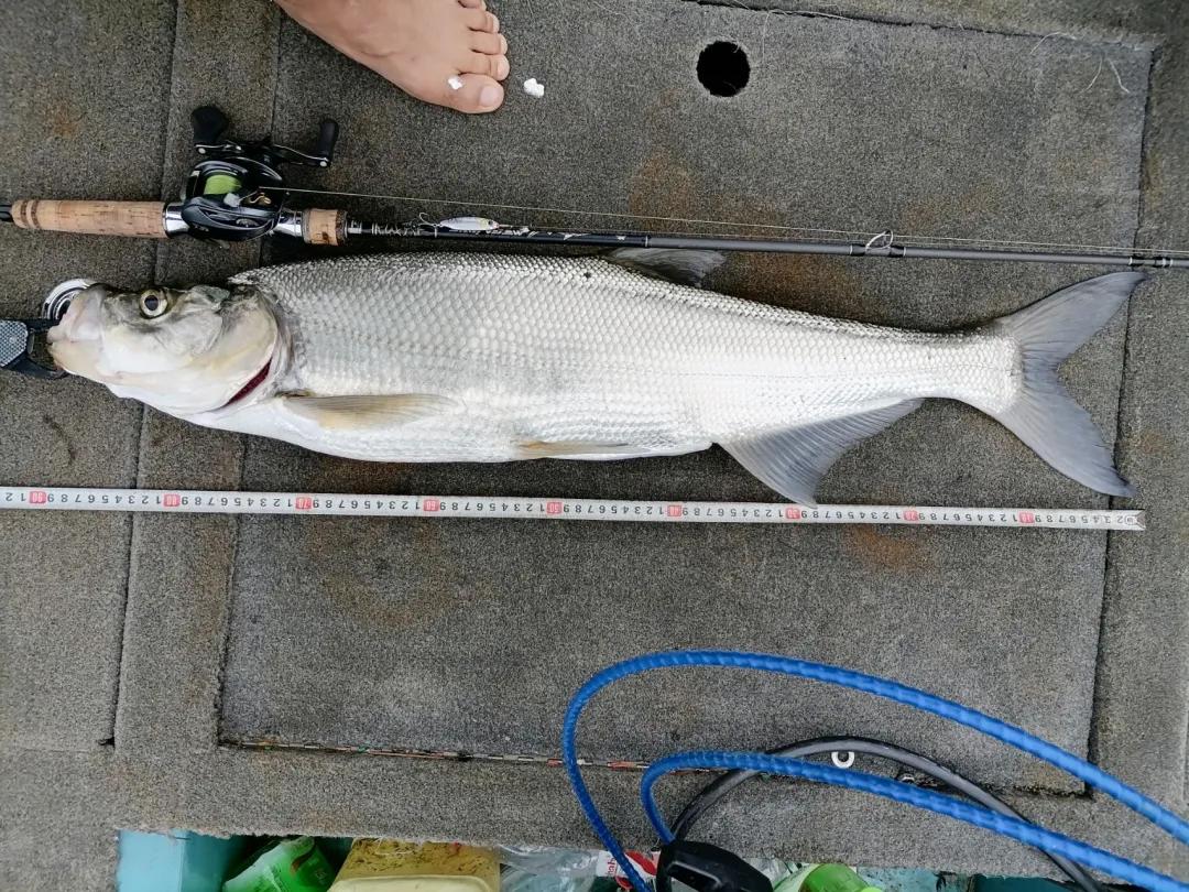 「渔获名人堂周榜」这两位粉丝钓友，你们太牛了