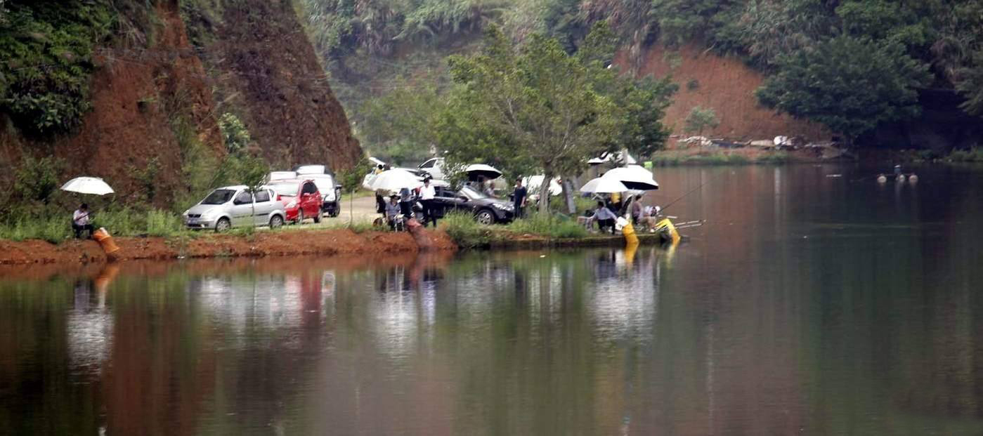 浮漂信号明显但是提竿不中鱼,浮漂没动作提竿却锚到了