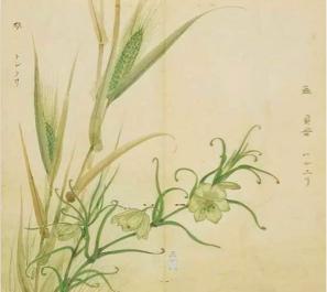 诗经卫风有狐赏析,诗经卫风有狐朗诵