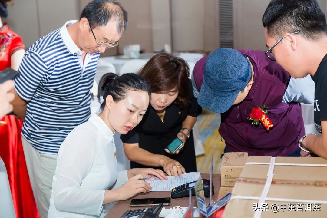 中茶翡翠白菜新品发布会,中茶八八青饼发布