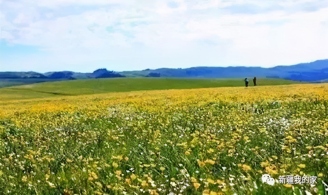 昌吉五家渠市,昌吉乌鲁木齐五家渠