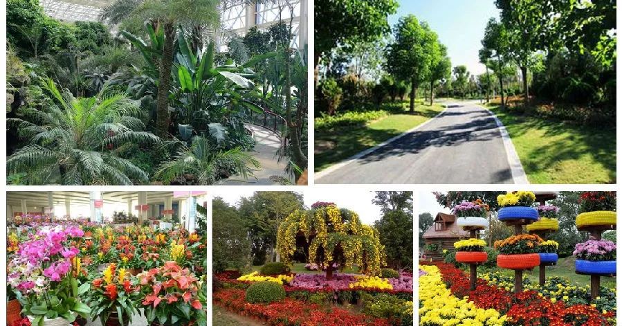 徐州最有名的富人区,徐州升值最快的区