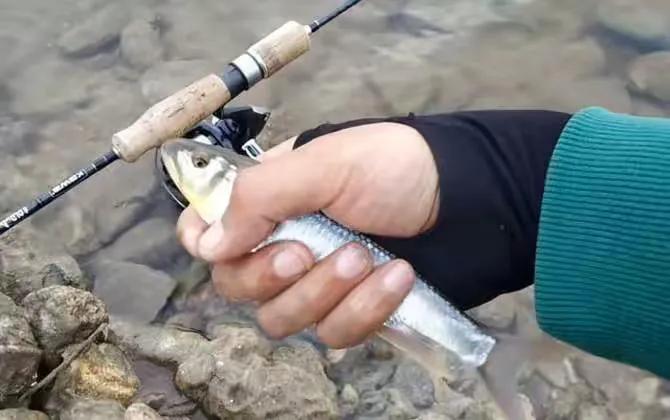 路亚钓具都有哪些品牌,路亚渔具有哪些