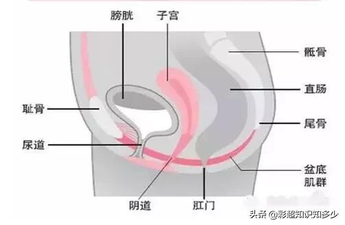 压力性尿失禁难道只有女生有吗,压力性尿湿症能自愈吗