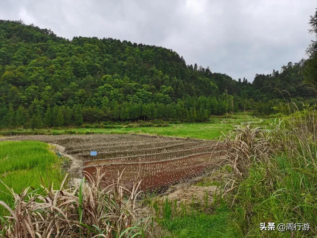 温州文成岭后烂井湖，虽繁华不再，却也有着属于它的传奇故事