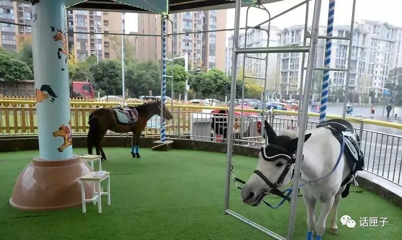 这样的“旋转木马”你一定没见过，网友直呼太残忍……