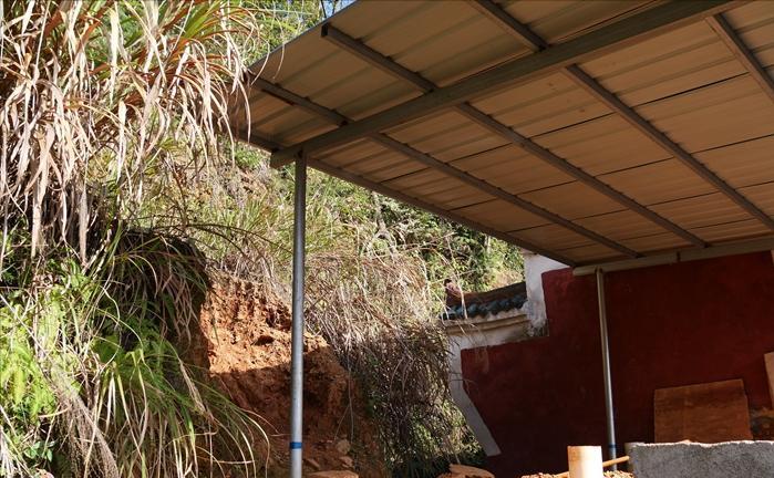 小村流传孤坟神土治病,神医包医百病