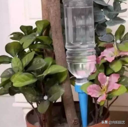 制作简易定时浇水装置,出门一个月的懒人浇水神器制作