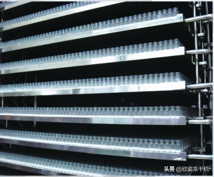 冷冻干燥机冻干标准是什么,真空干燥箱和冻干机的区别