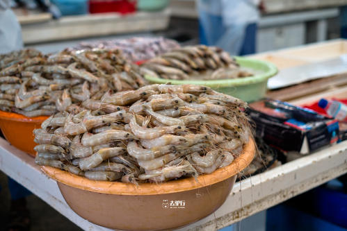 你不知道的冷知识迪拜,迪拜十大冷知识