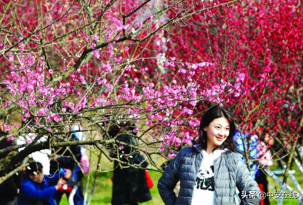 不负好春光踏青,不负春光正是踏青好时节