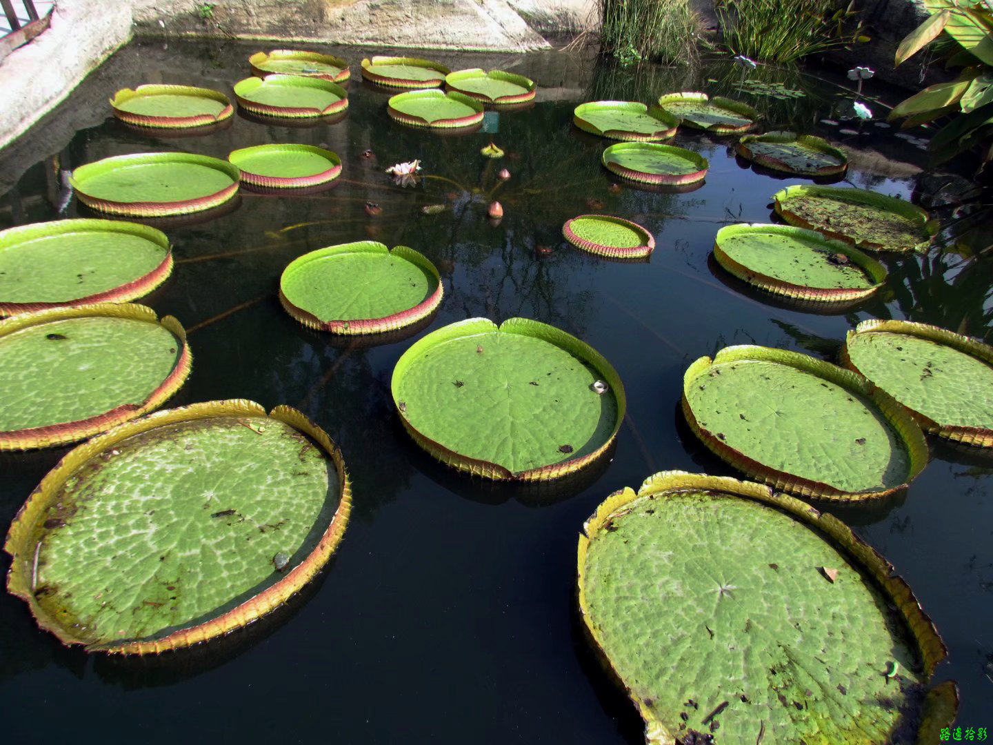 广州莲花山游记,广州莲花山风景