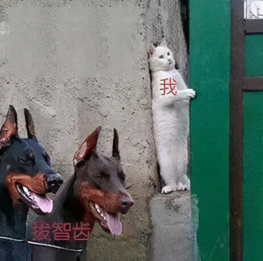 古代牙疼怎么解决的,古人怎么应对牙疼