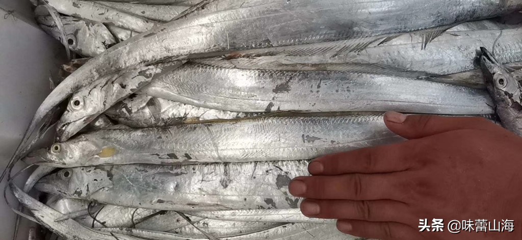 海鲜带鱼吃法,码头带鱼怎么选好吃又实惠