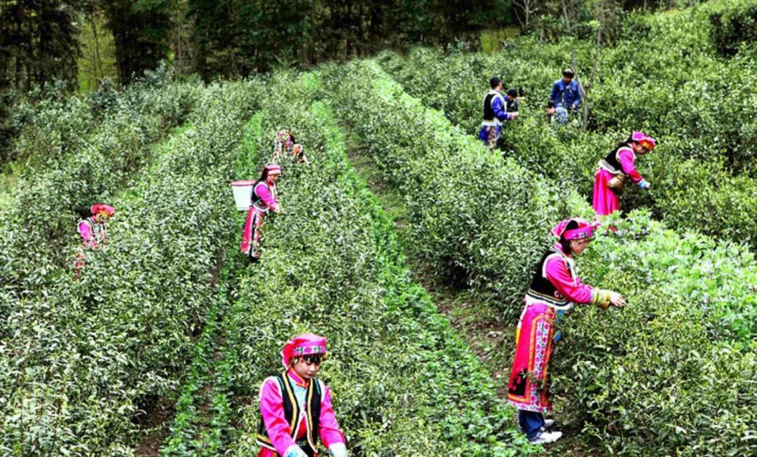 四川平武有个遗落人间的仙境,平武特色游玩景区