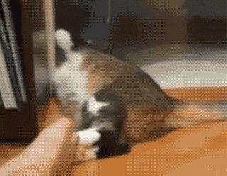 专门做袜子的国货,拥有100多个专利的国货