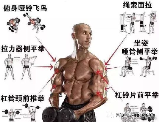 健身看图识物,健身看网上的教学视频