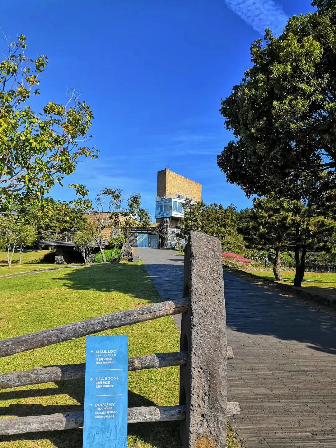 在济州岛发呆的日子,济州岛散心