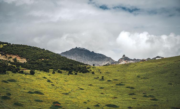 双子座分手反应,双子座分手预兆