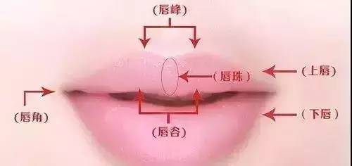 美妆秘籍不同唇形的唇妆技巧,唇妆卸不干净会怎么样