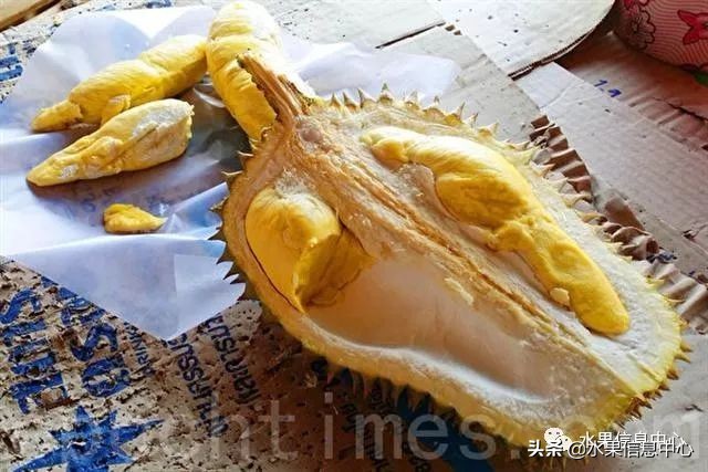 泰国最好的榴莲是什么榴莲,泰国榴莲与越南榴莲