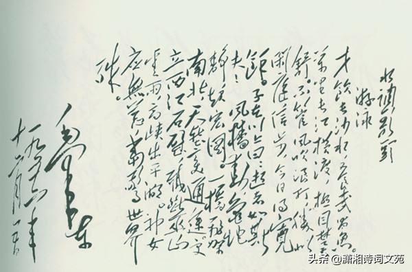 “神女应无恙，当惊世界殊”：再读《水调歌头·游泳》