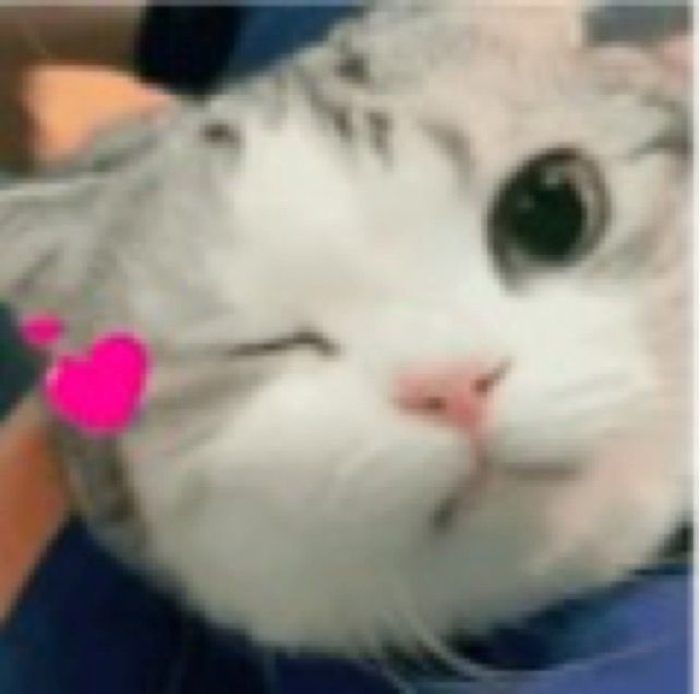 五一出门的朋友注意了！去支付宝看看这个好东西