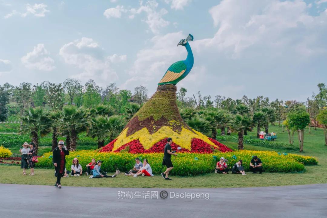 云南最美小镇图片,云南太平湖森林公园花海