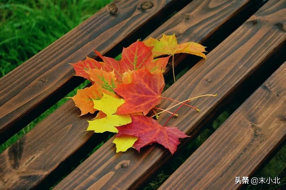 最体面的告别是说出来还是沉默,最体面的告别就是默默地离开