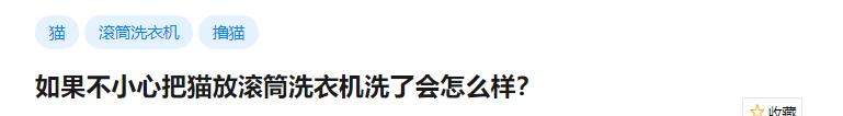 洗衣机里放什么可以去除猫毛,怎么用洗衣机洗掉衣服上的猫毛