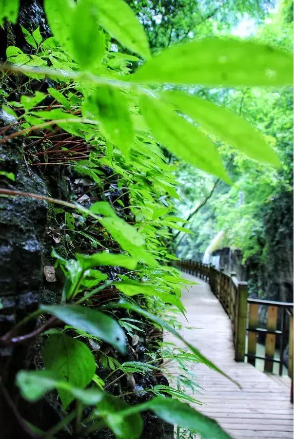 惊险刺激的飞拉达,刺激的飞拉达