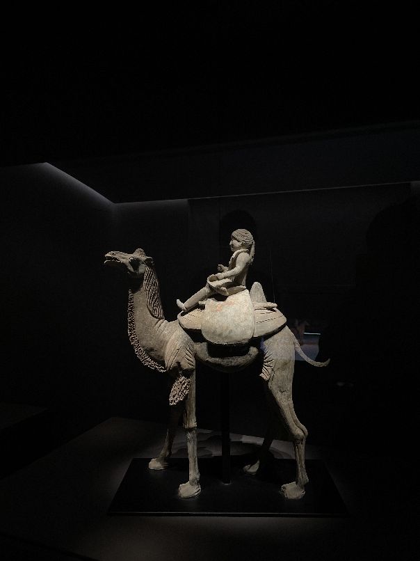 魔都十大必去博物馆,上海震旦博物馆攻略